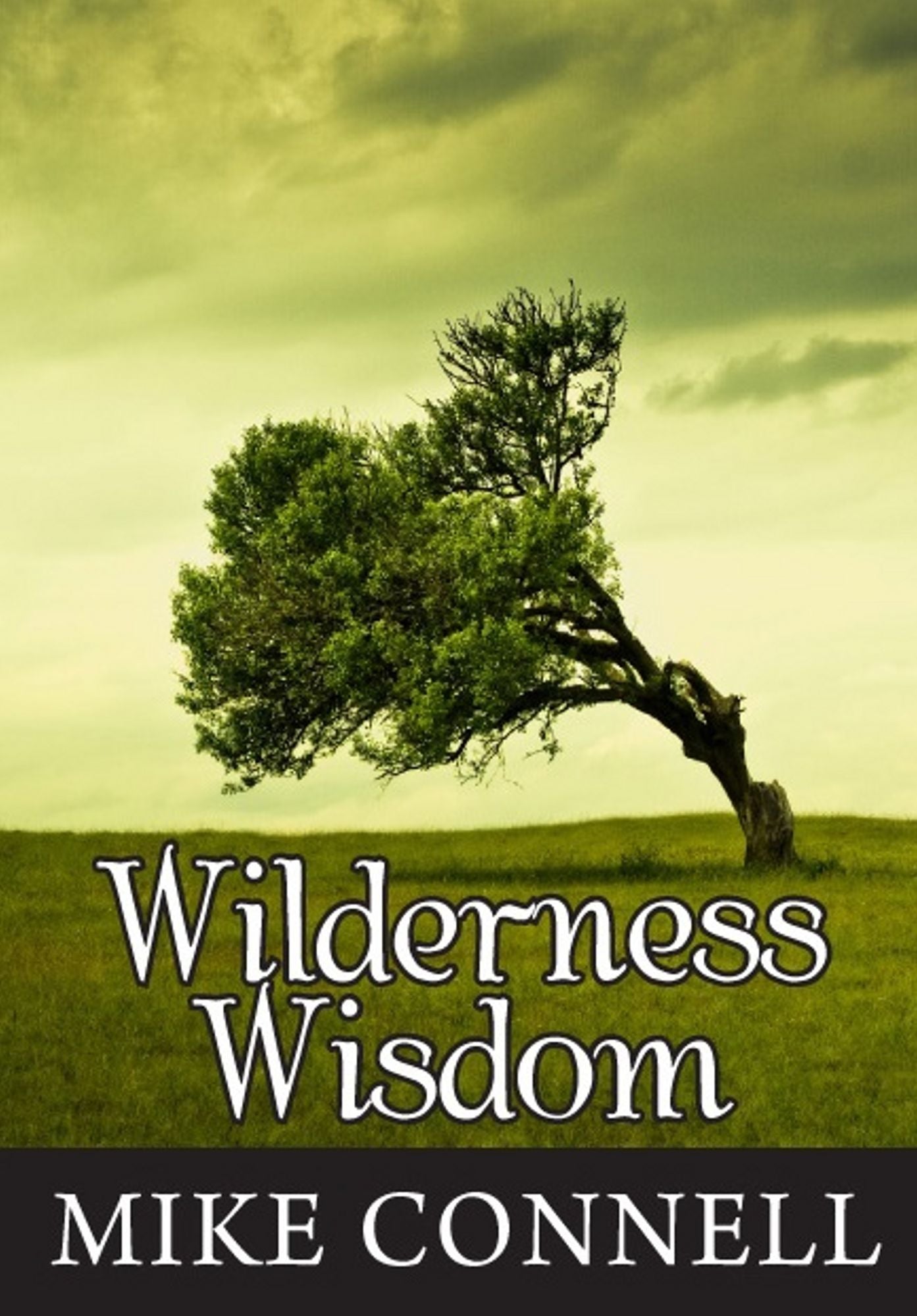 Wilderness Wisdom (4 sermons)