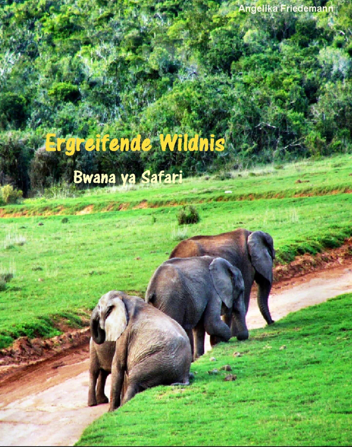 Ergreifende Wildnis