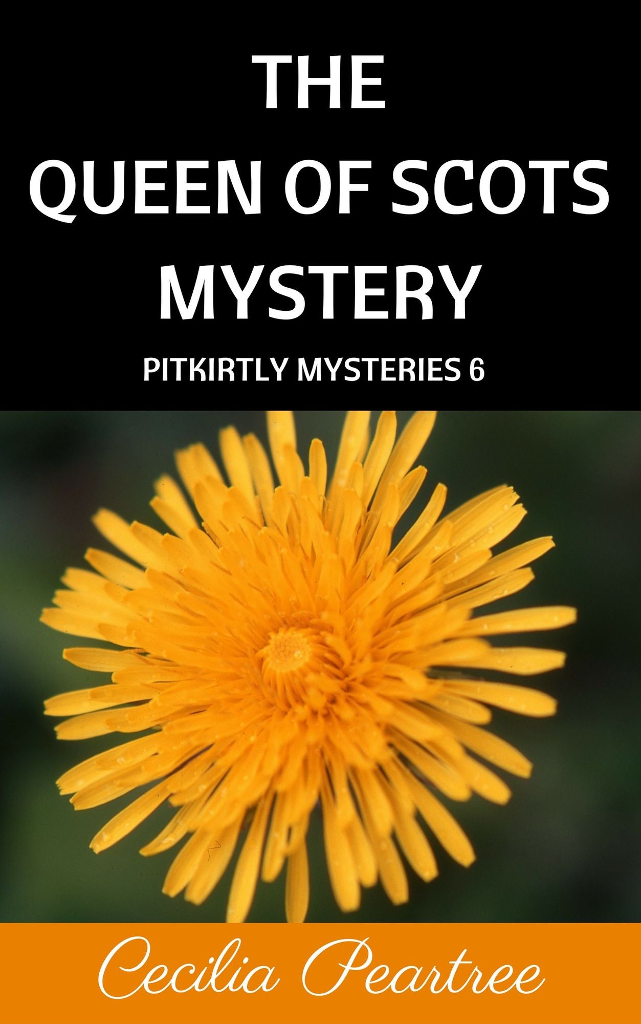 The Queen of Scots Mystery