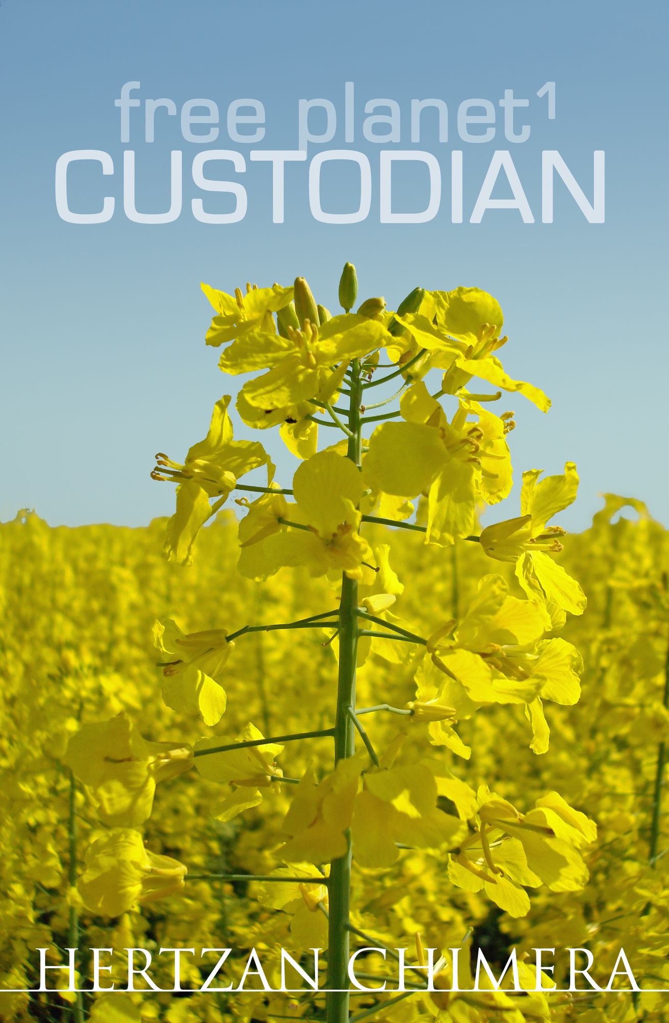 Custodian
