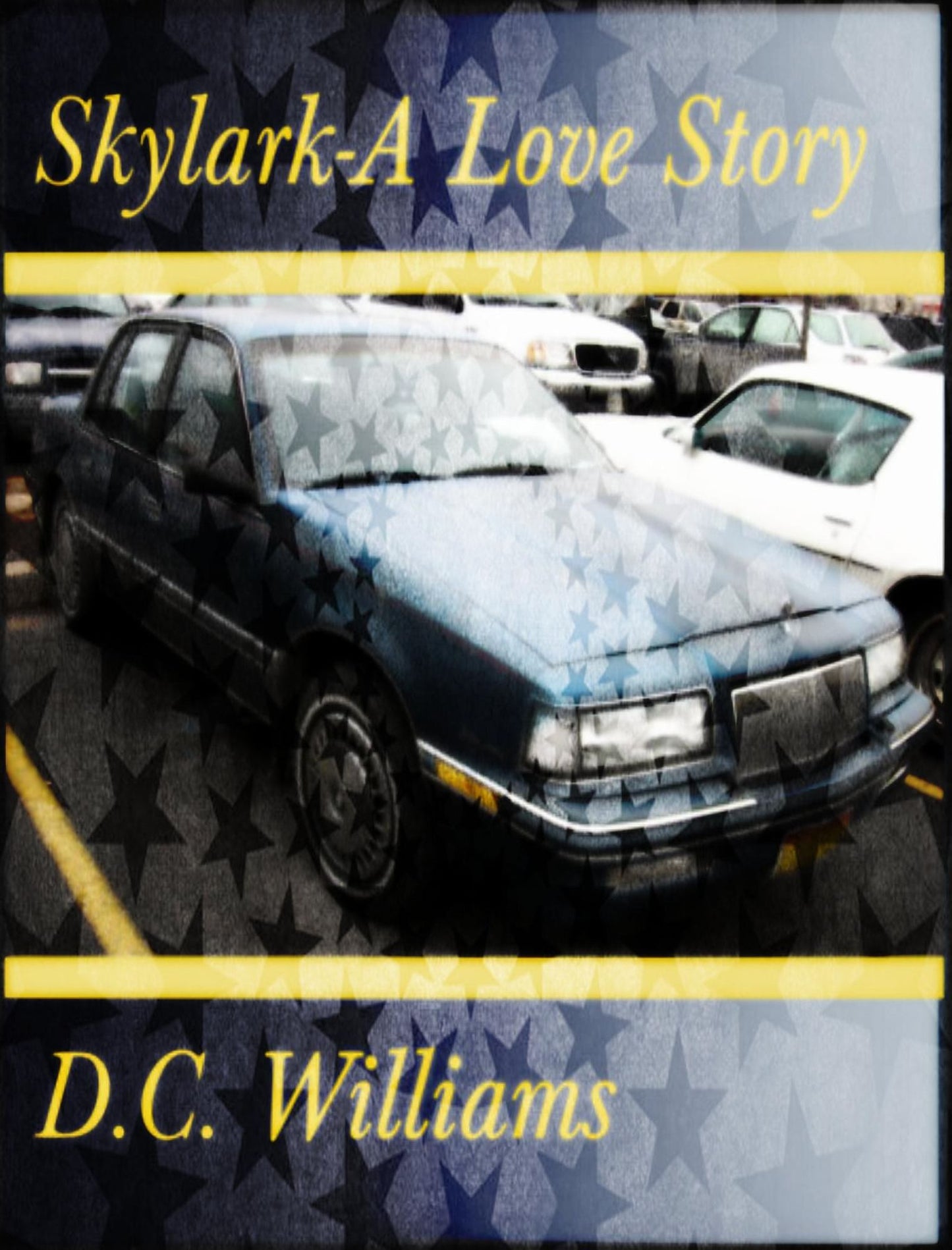 Skylark-A Love Story