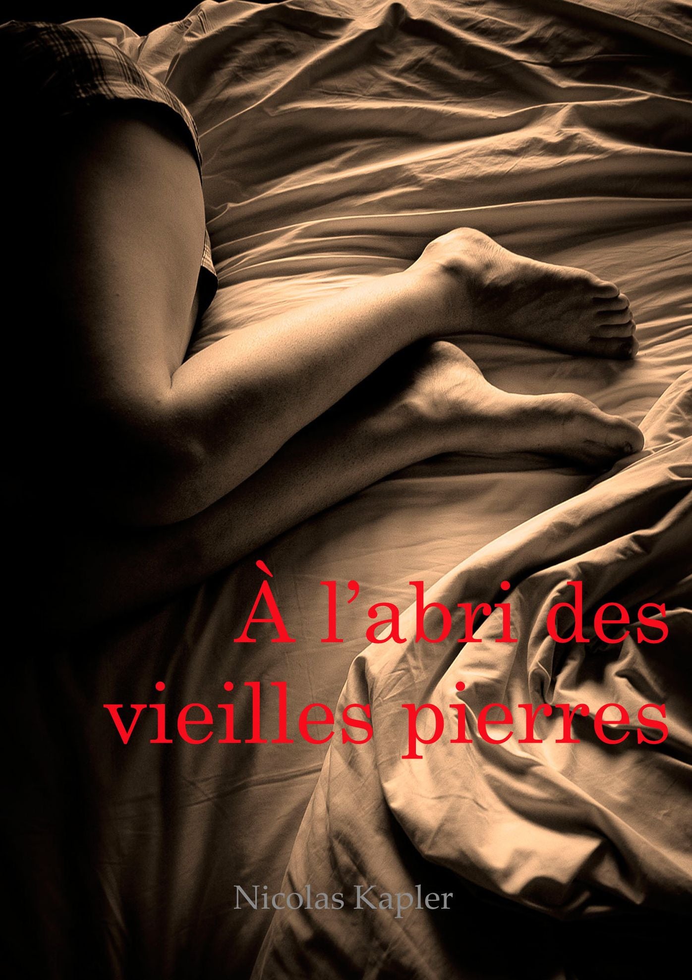 À l'abri des vieilles pierres: Histoire érotique
