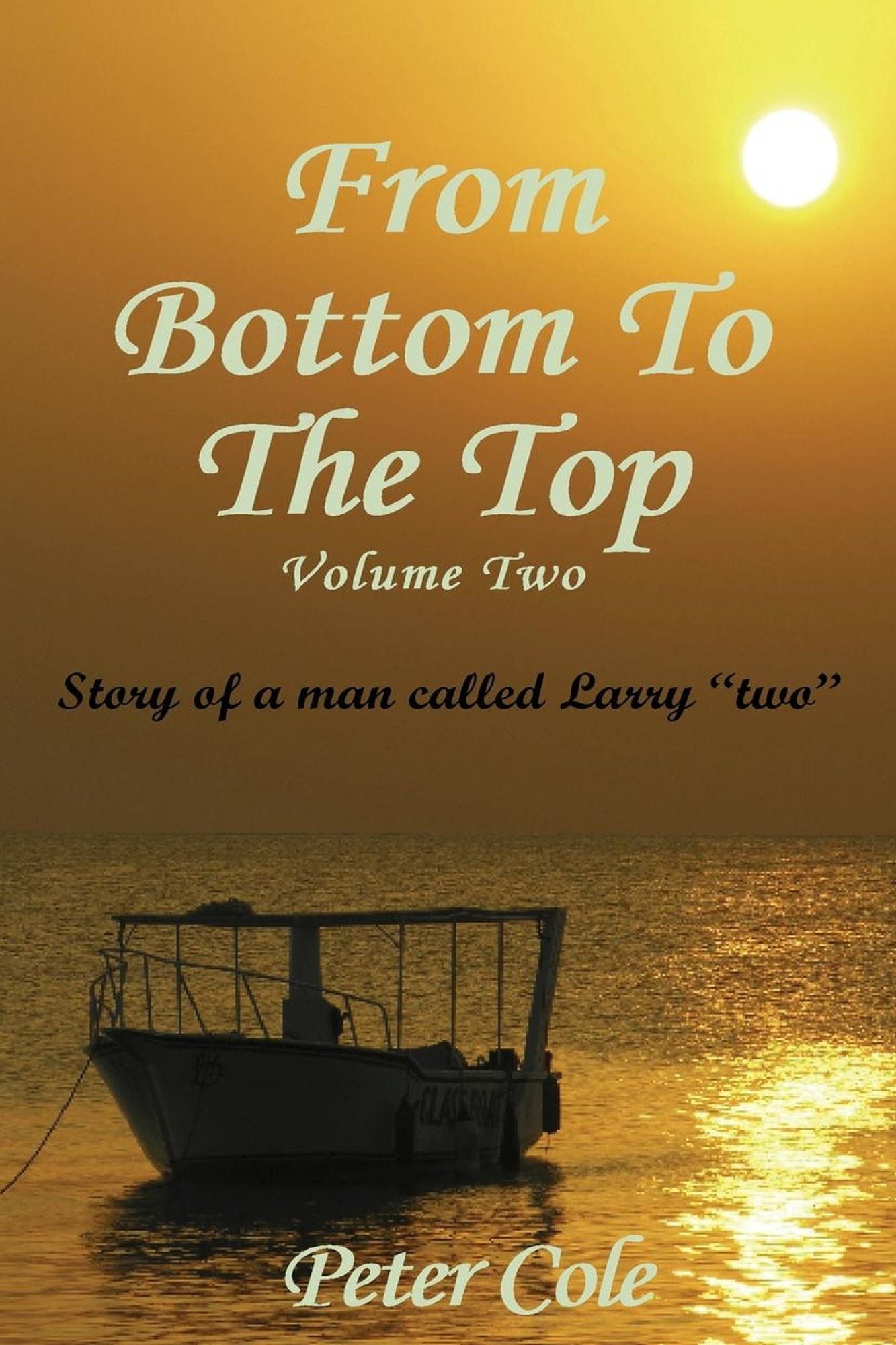 From The bottom To The Top Volume Two