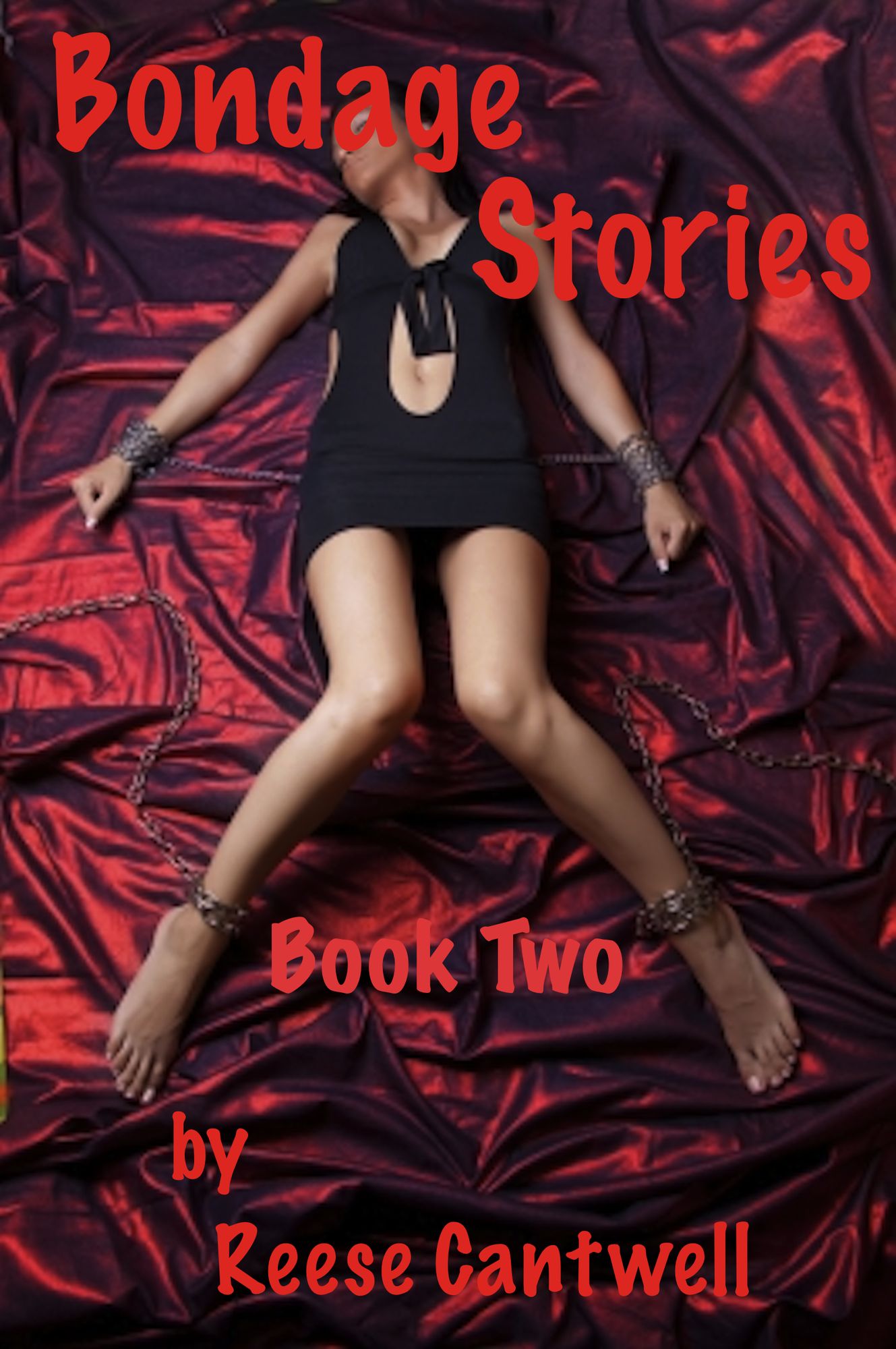 Bondage Sex: Book Two