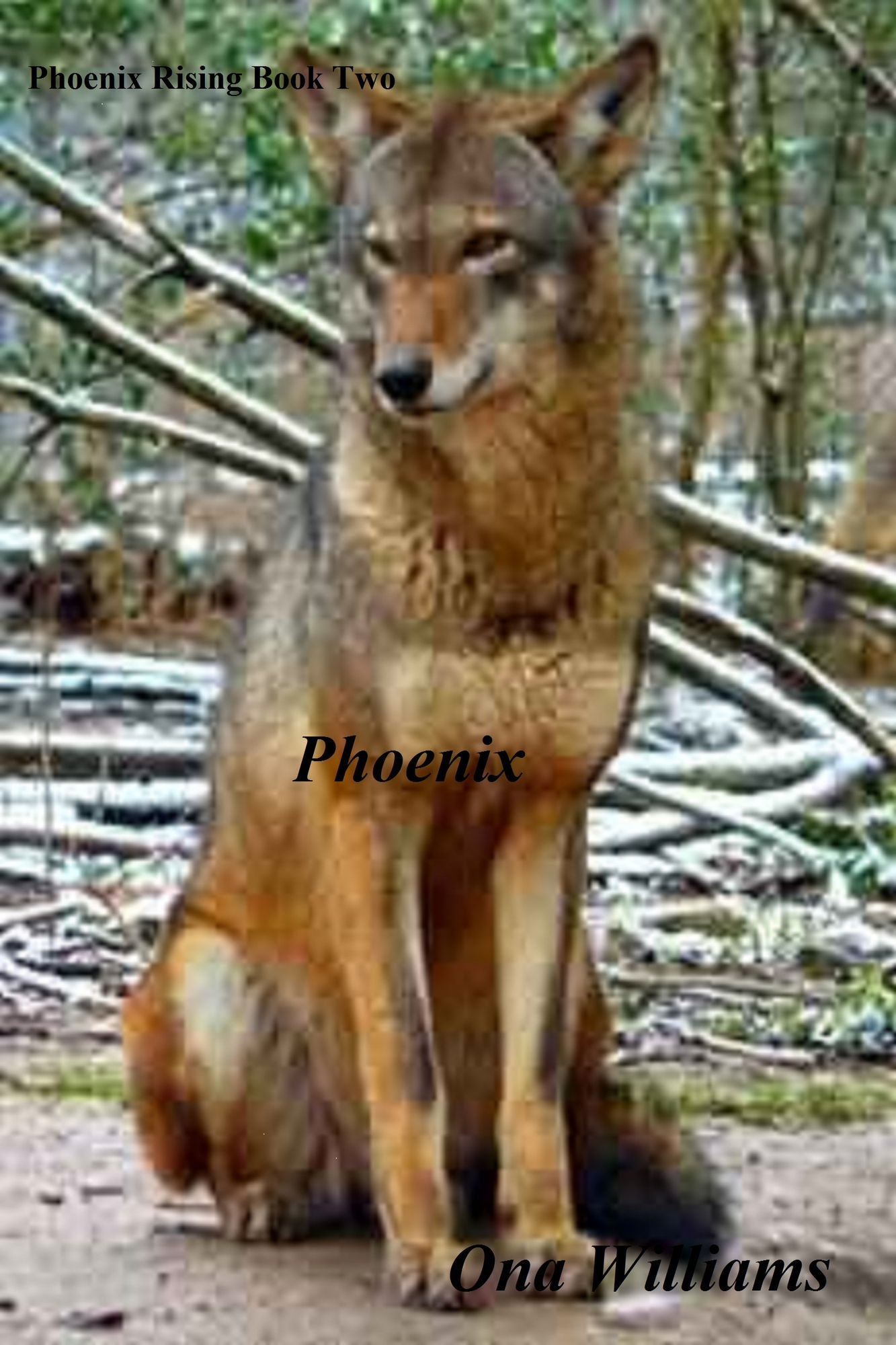 Phoenix Rising Book Two: Phoenix