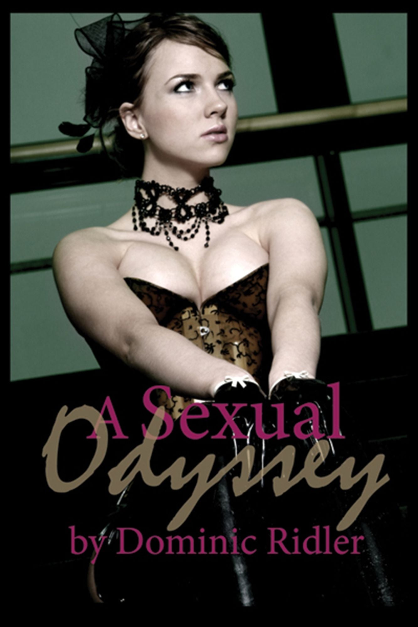 A Sexual Odyssey