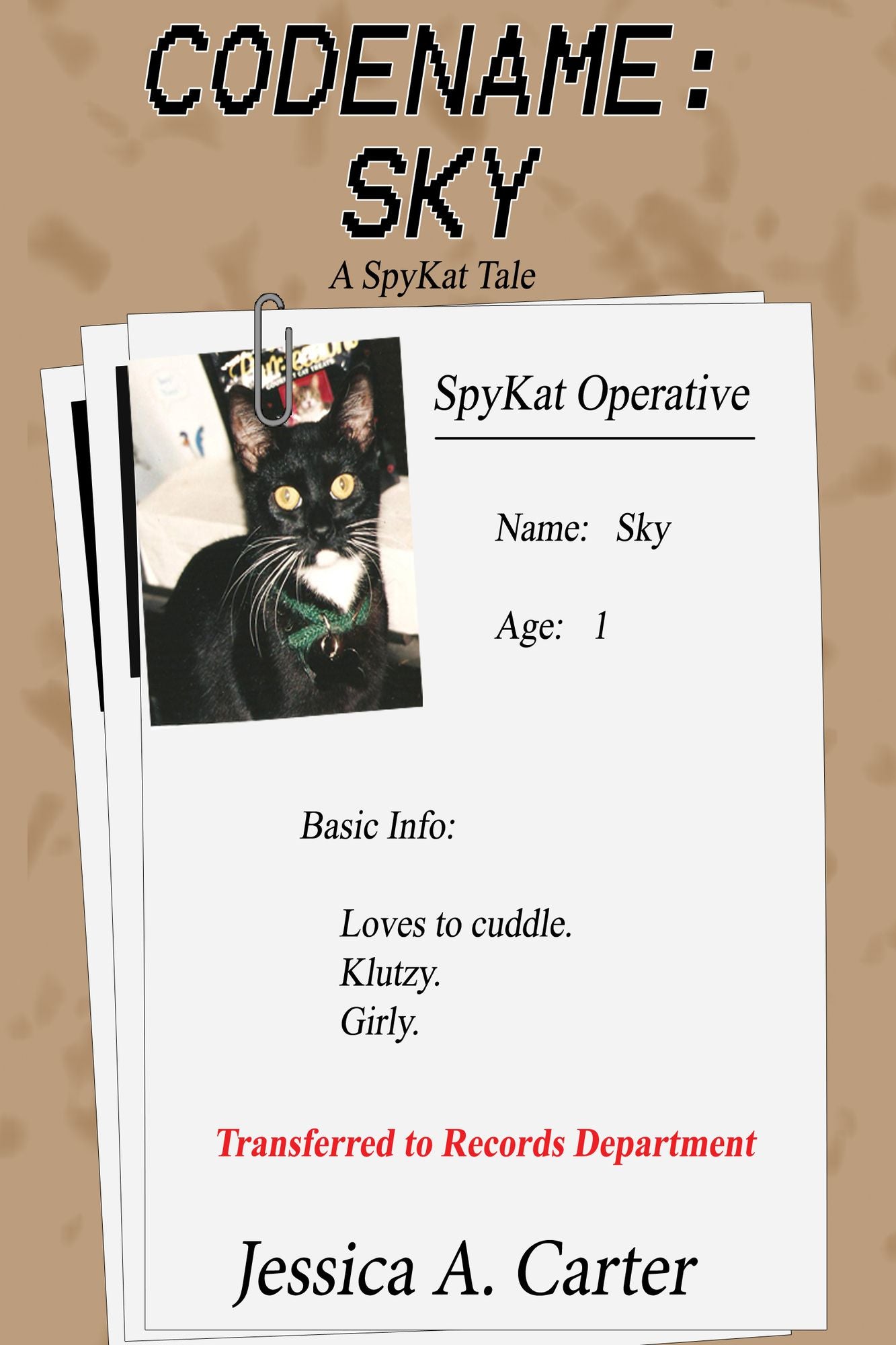 Codename: Sky