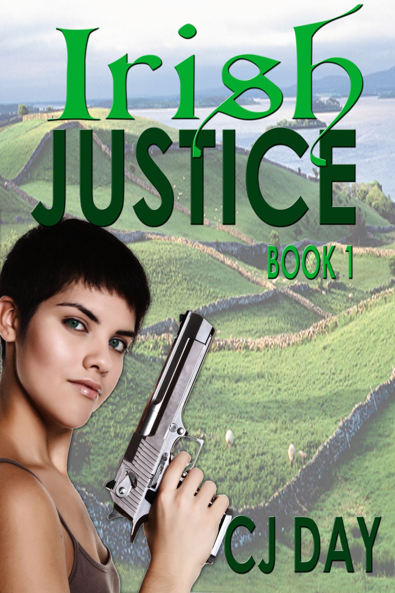 Irish Justice: Book 1