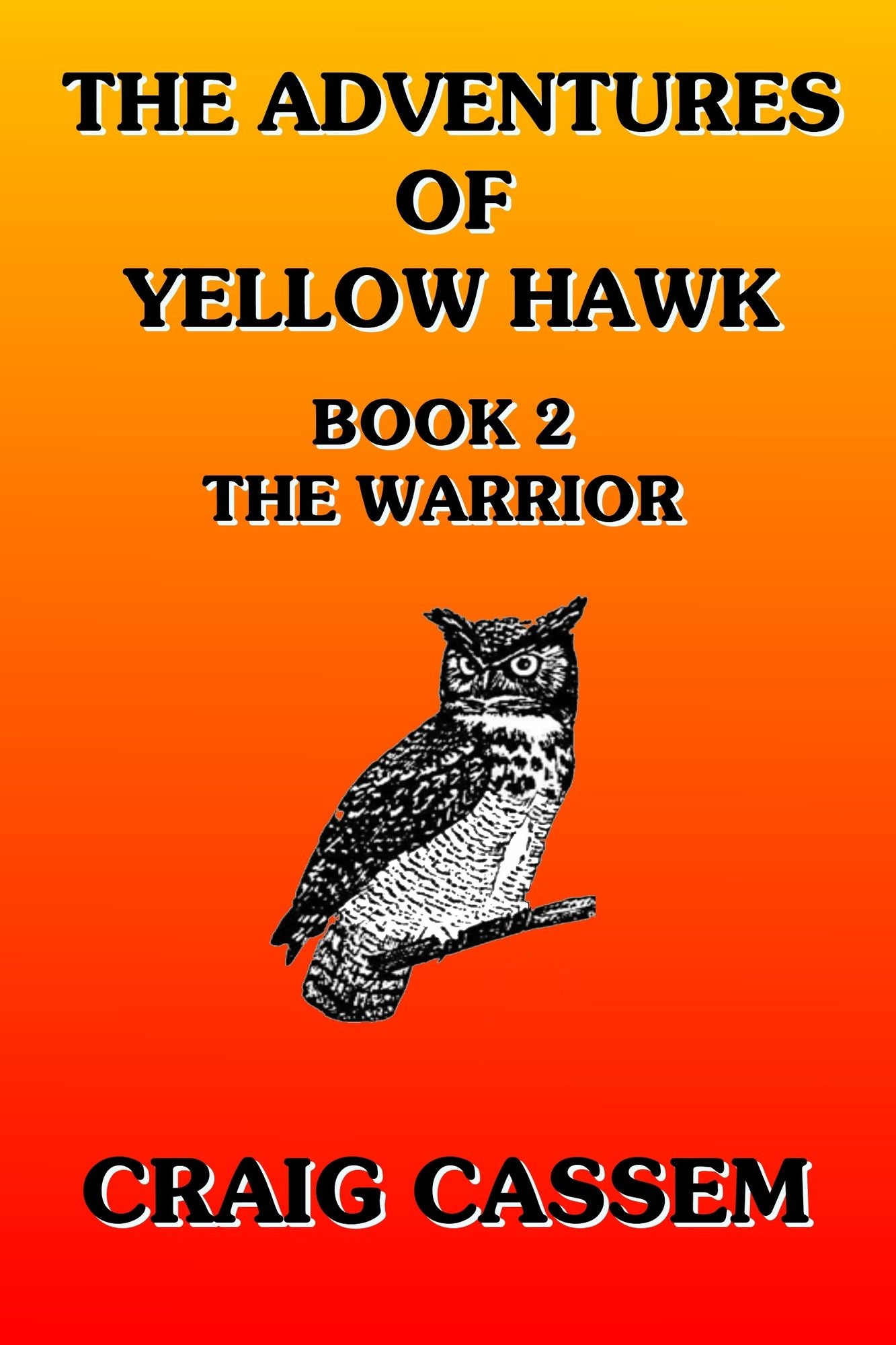 The Adventures of Yellow Hawk: Book 2 - The Warrior