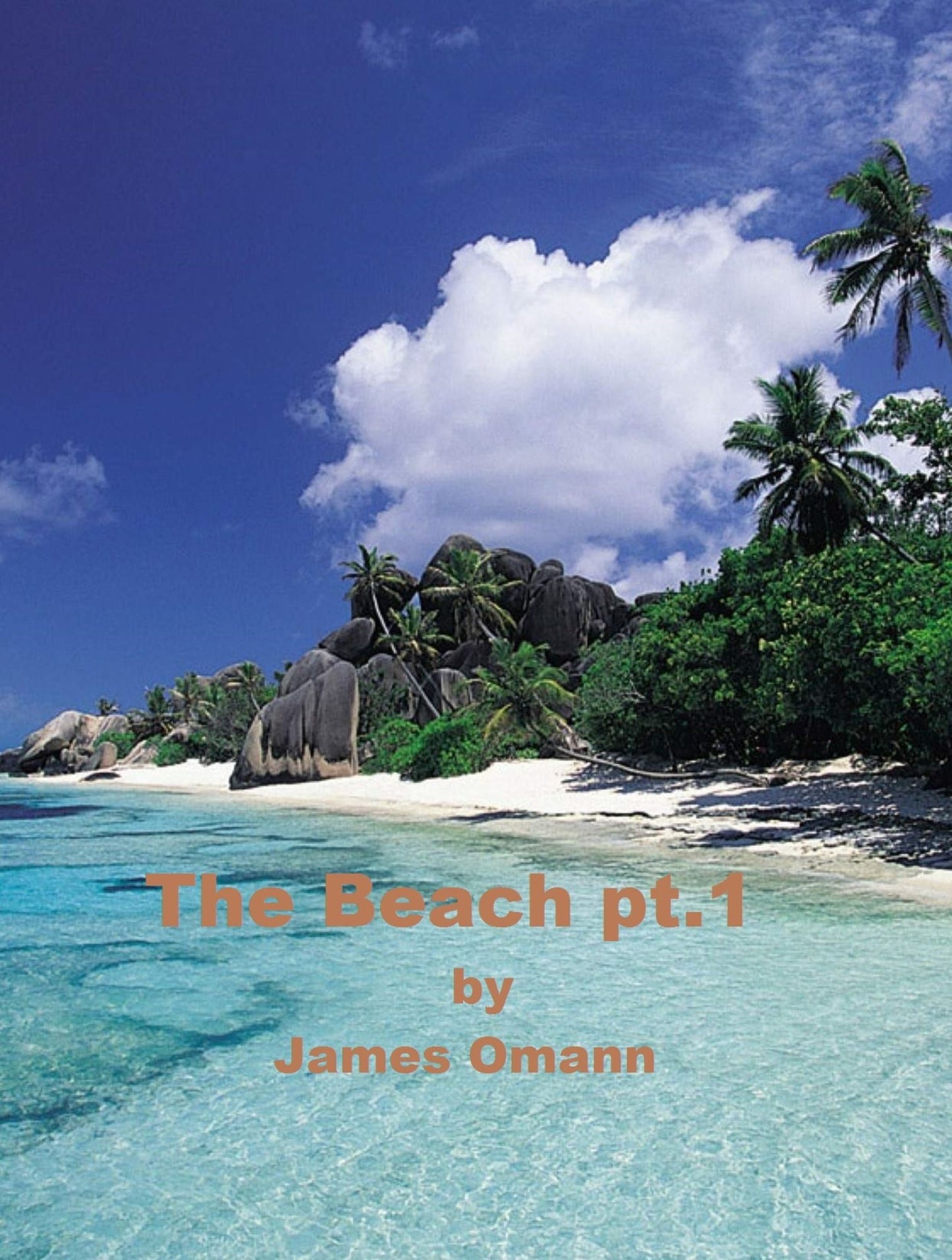 the Beach Pt.1