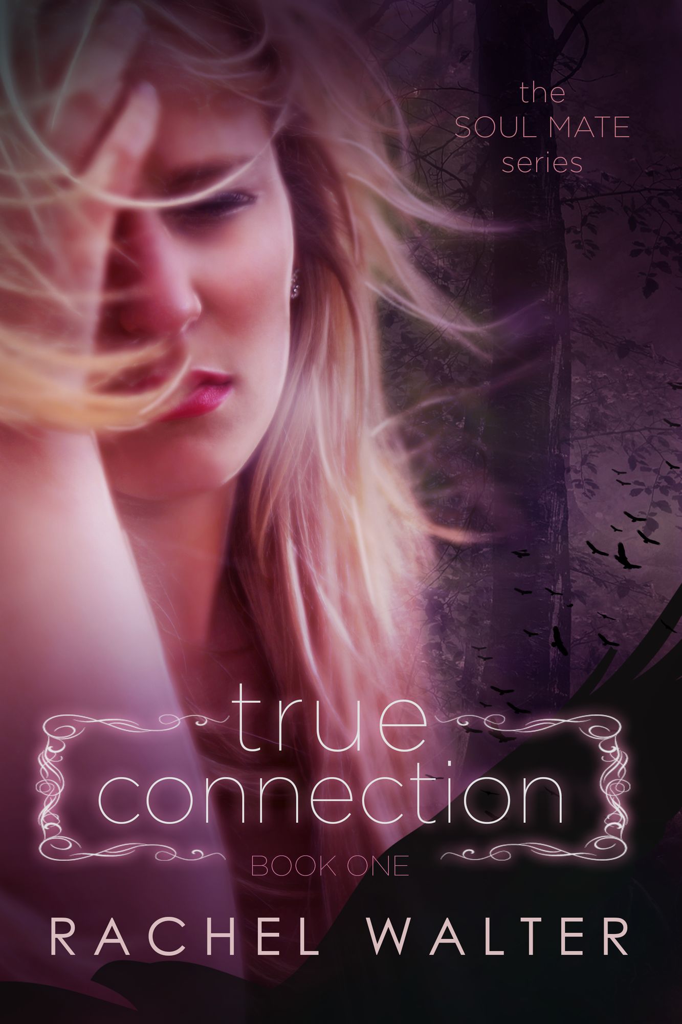 True Connection
