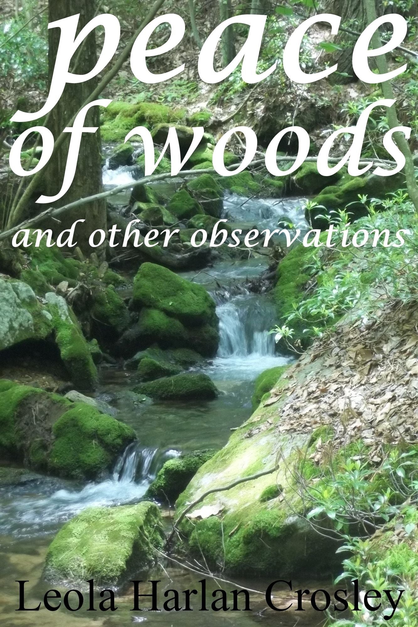 Peace of Woods