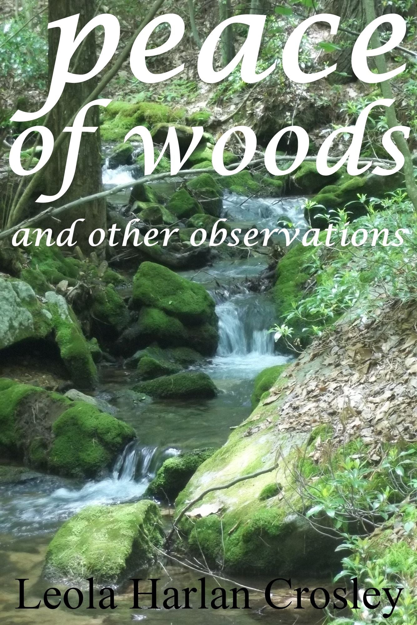 Peace of Woods