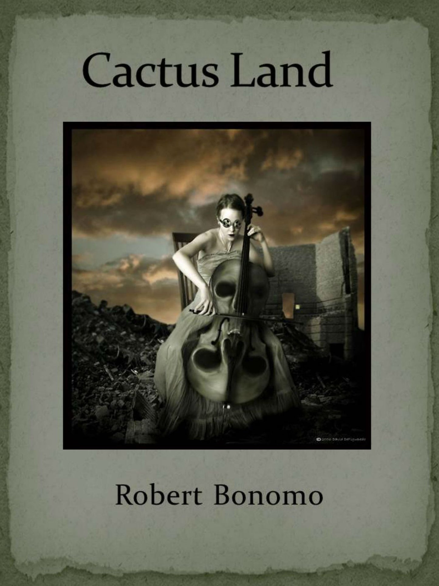 Cactus Land