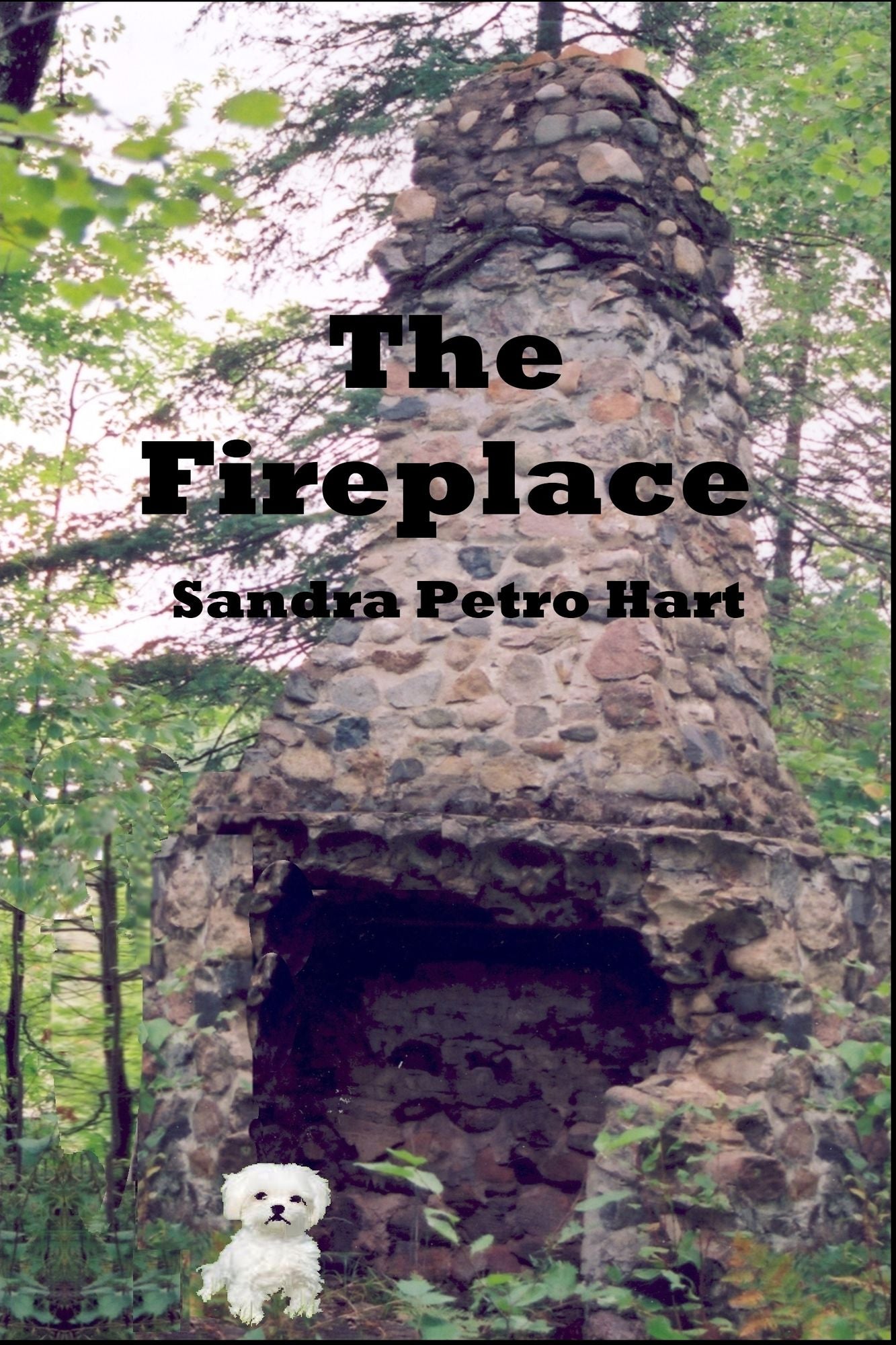 The Fireplace