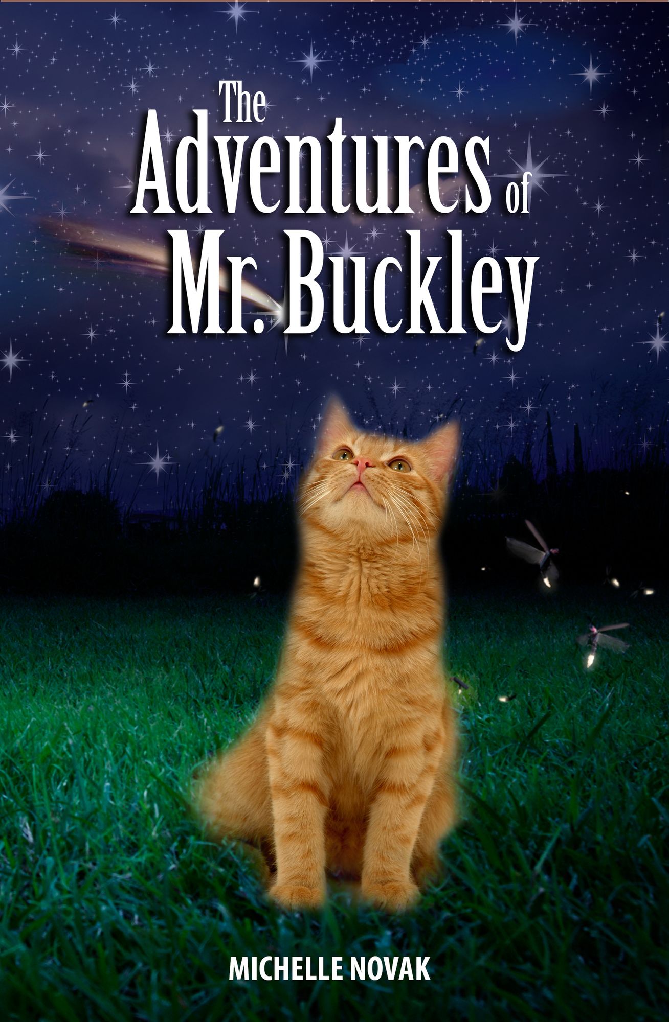 The Adventures of Mr. Buckley