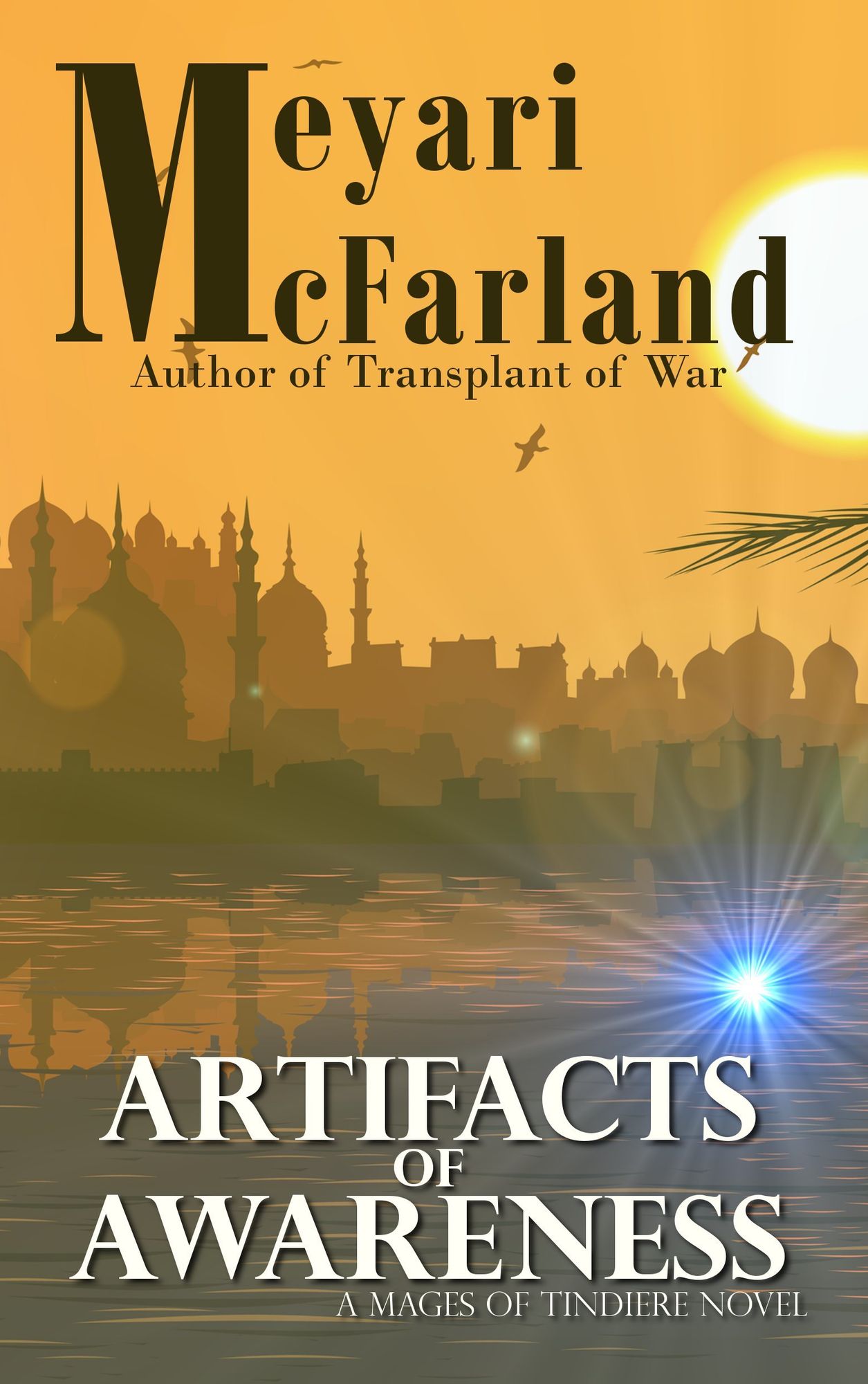 Artifacts of Awareness