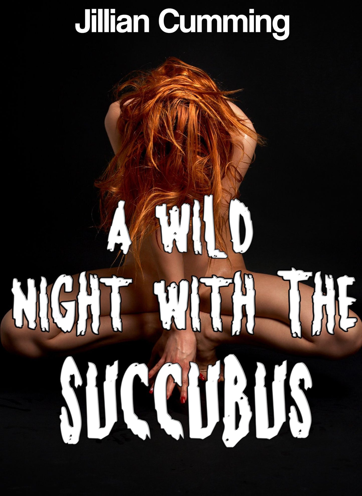 A Wild Night with the Succubus