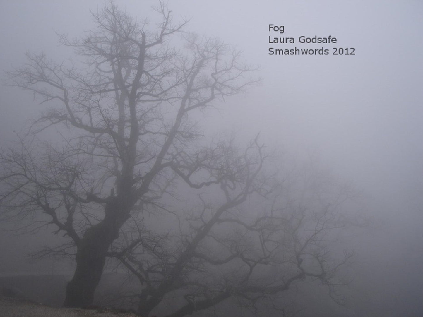 Fog