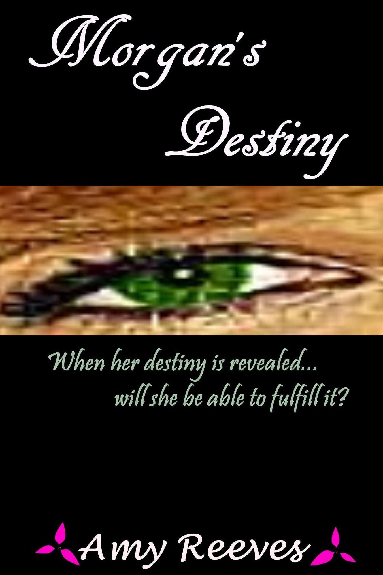 Morgan's Destiny