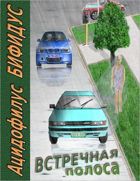 Vstrecnaa polosa