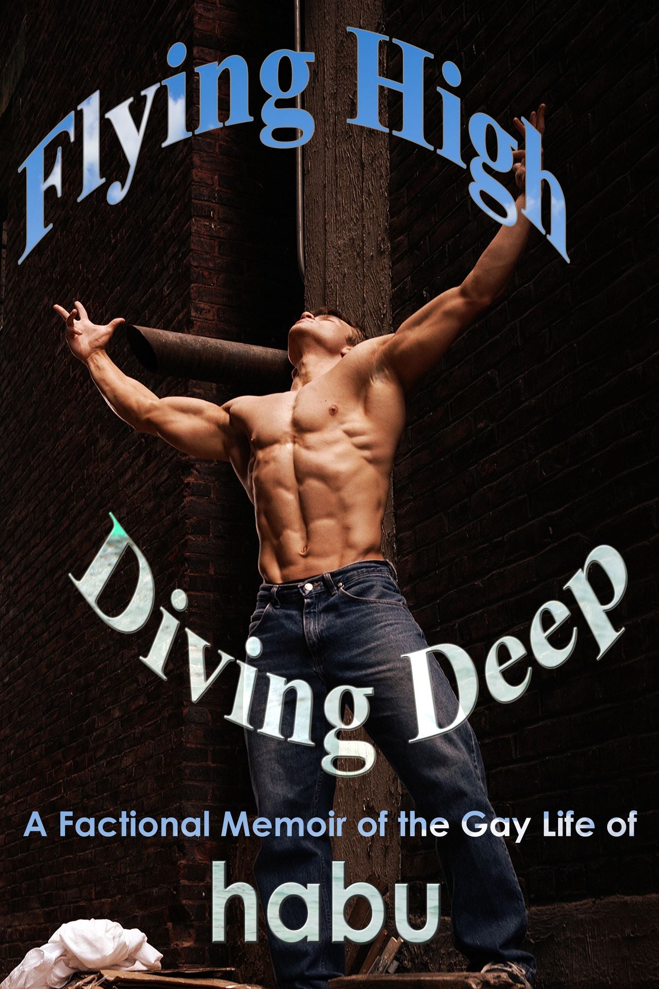 Flying High, Diving Deep ( A Gay Erotic Memoir)