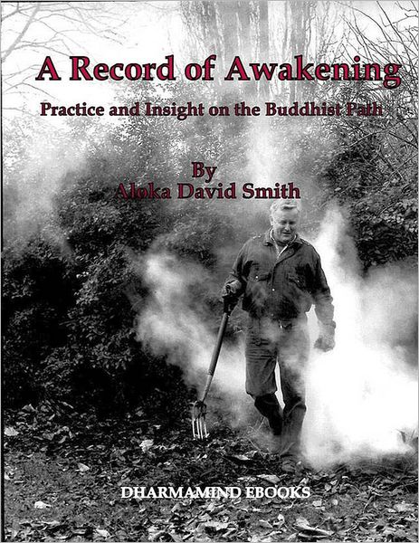 A Record of Awakening