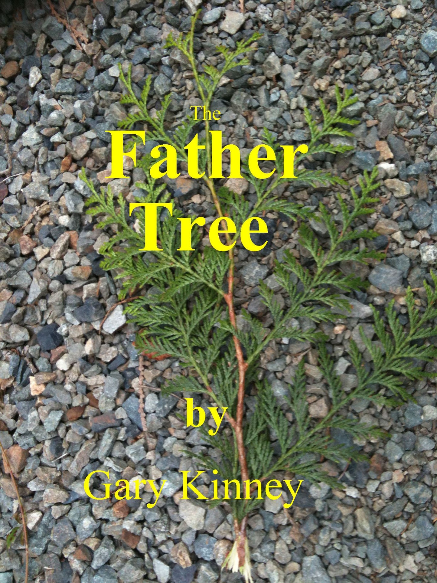 The Father Tree