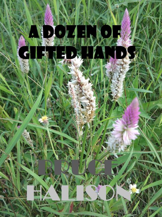 A Dozen of Gifted Hands