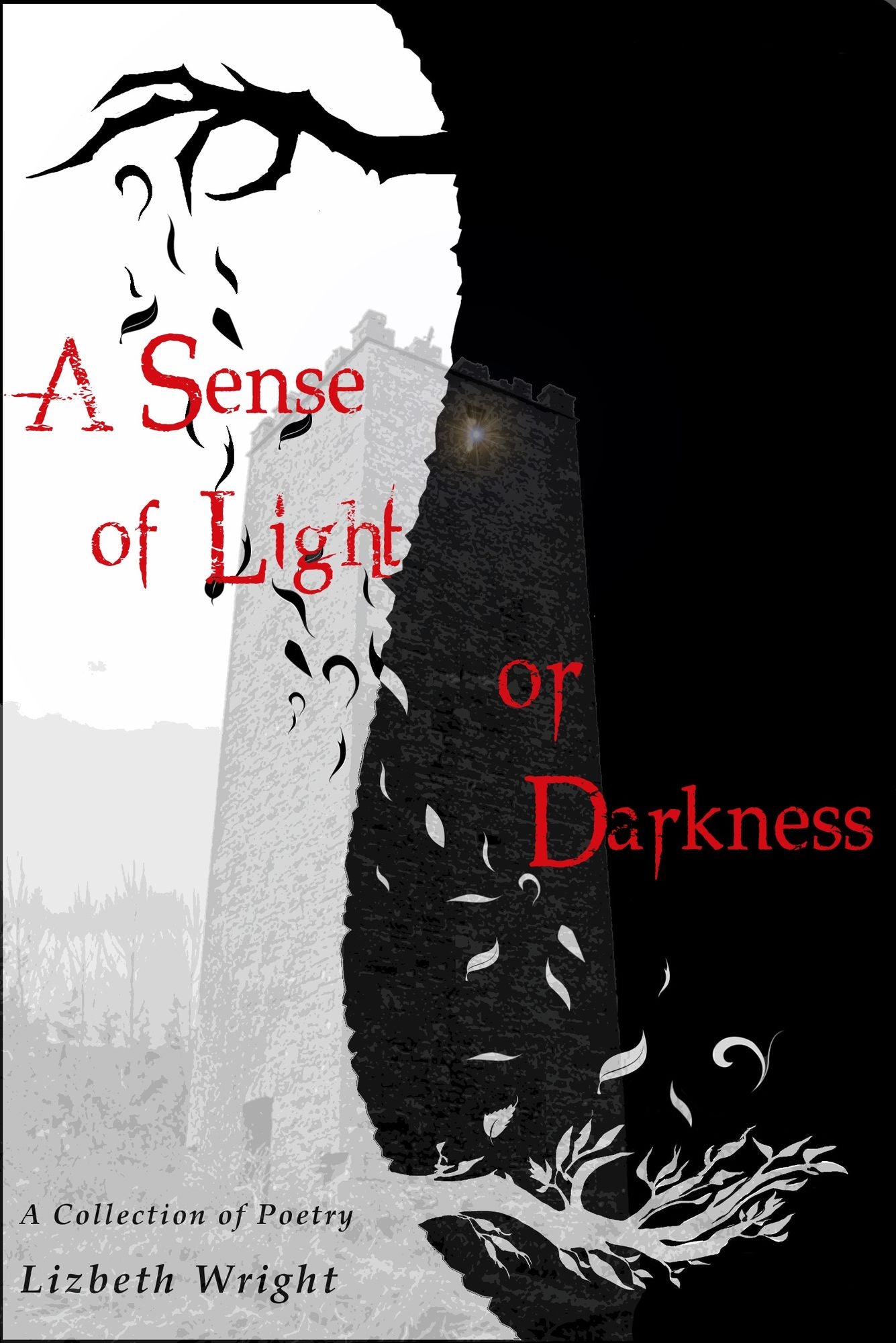 A Sense of Light or Darkness