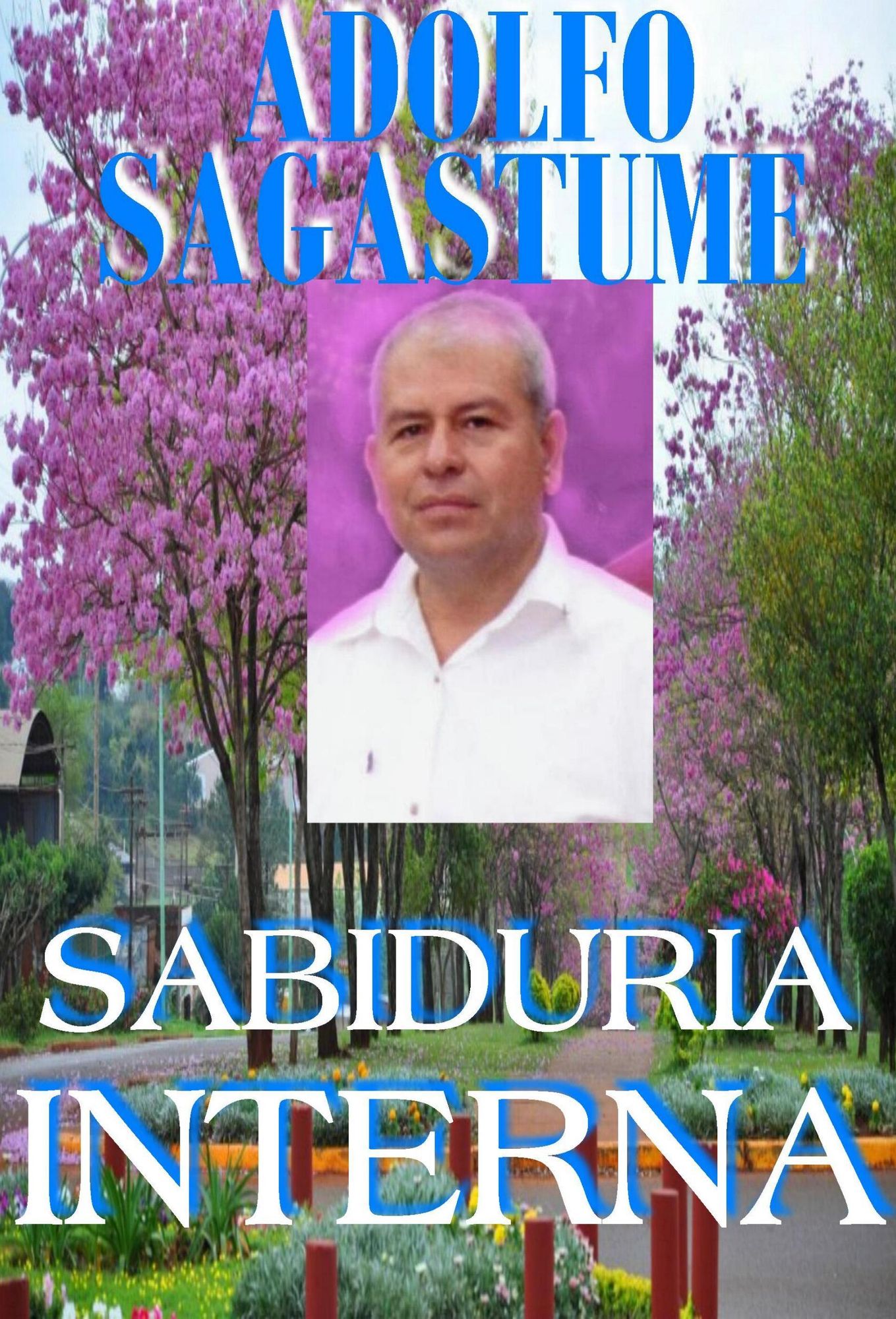 Sabiduria Interna