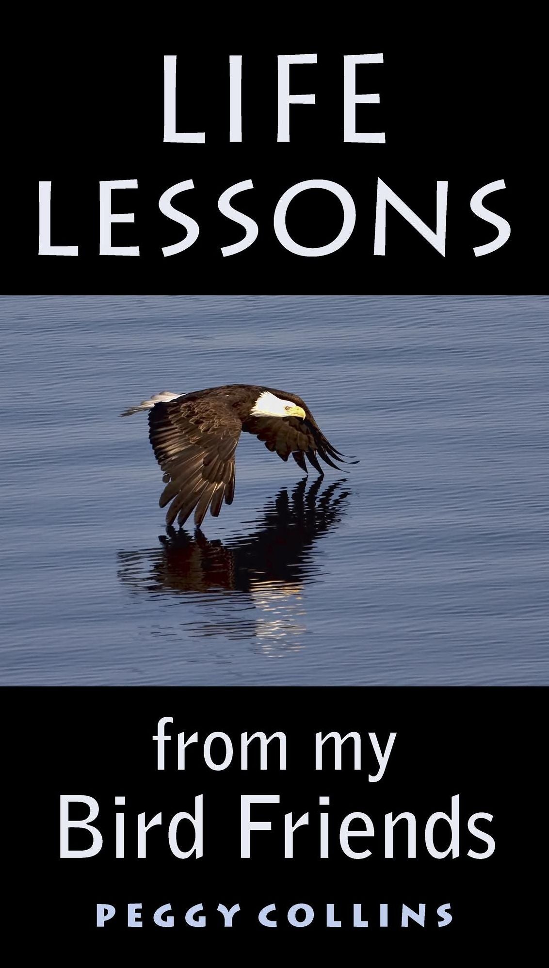 Life Lessons from My Bird Friends