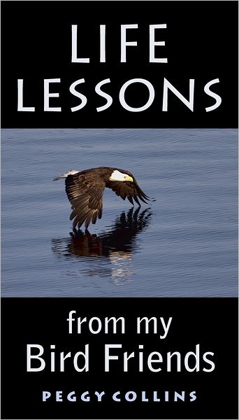 Life Lessons from My Bird Friends