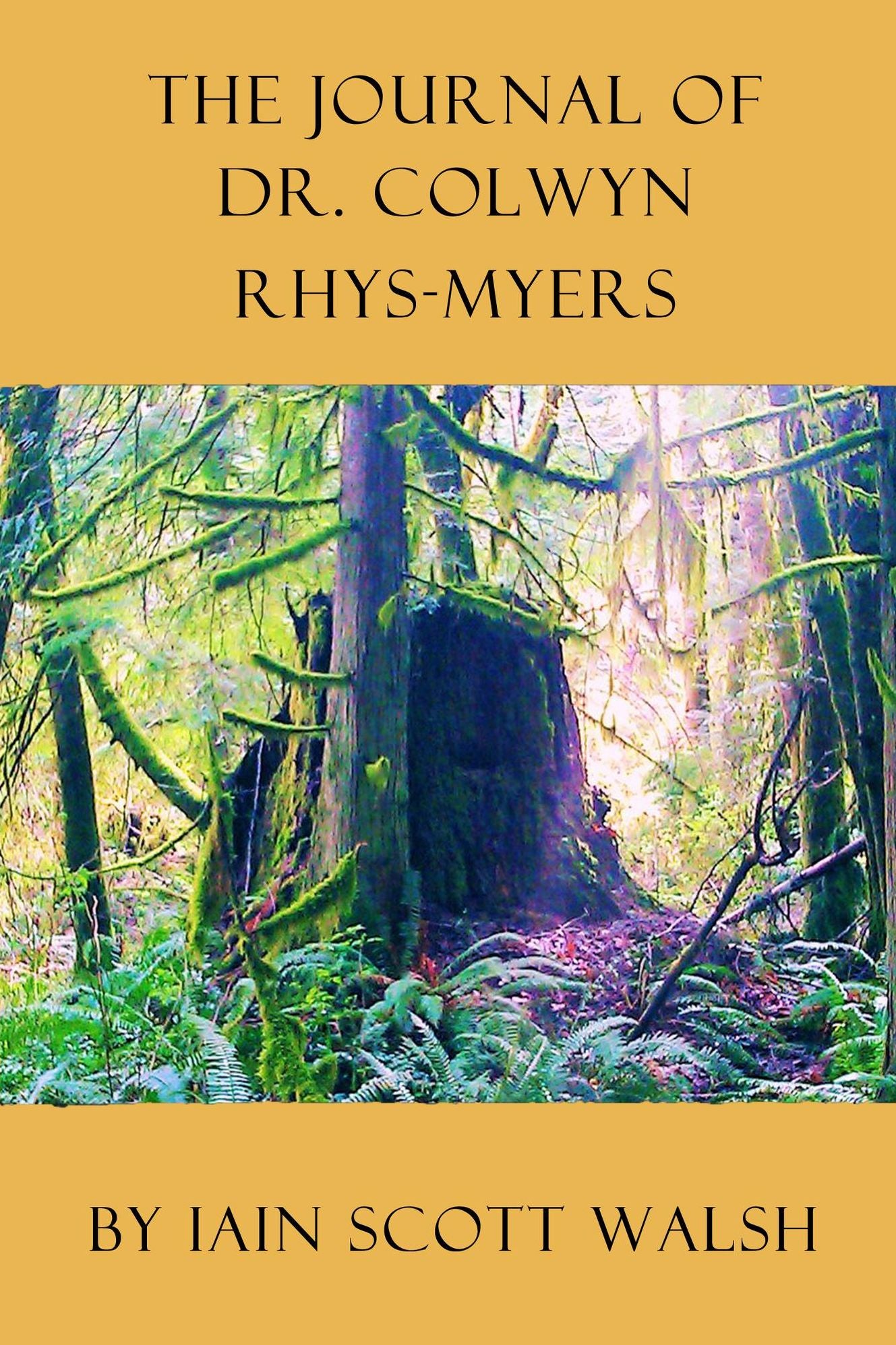 The Journal of Dr. Colwyn Rhys-Myers