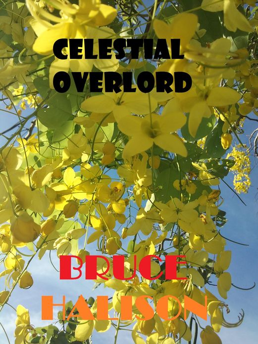 Celestial Overlord