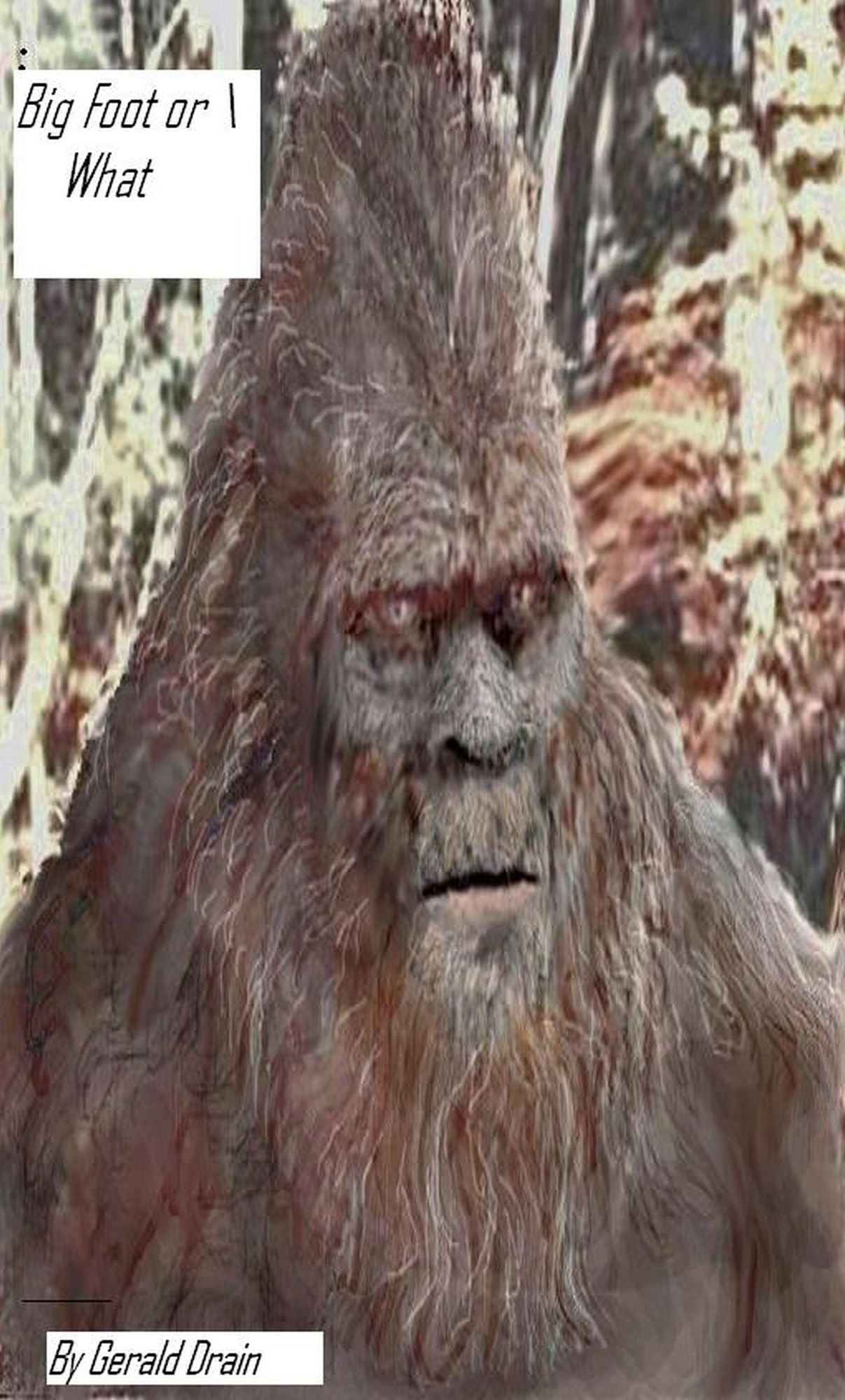 Big Foot or What