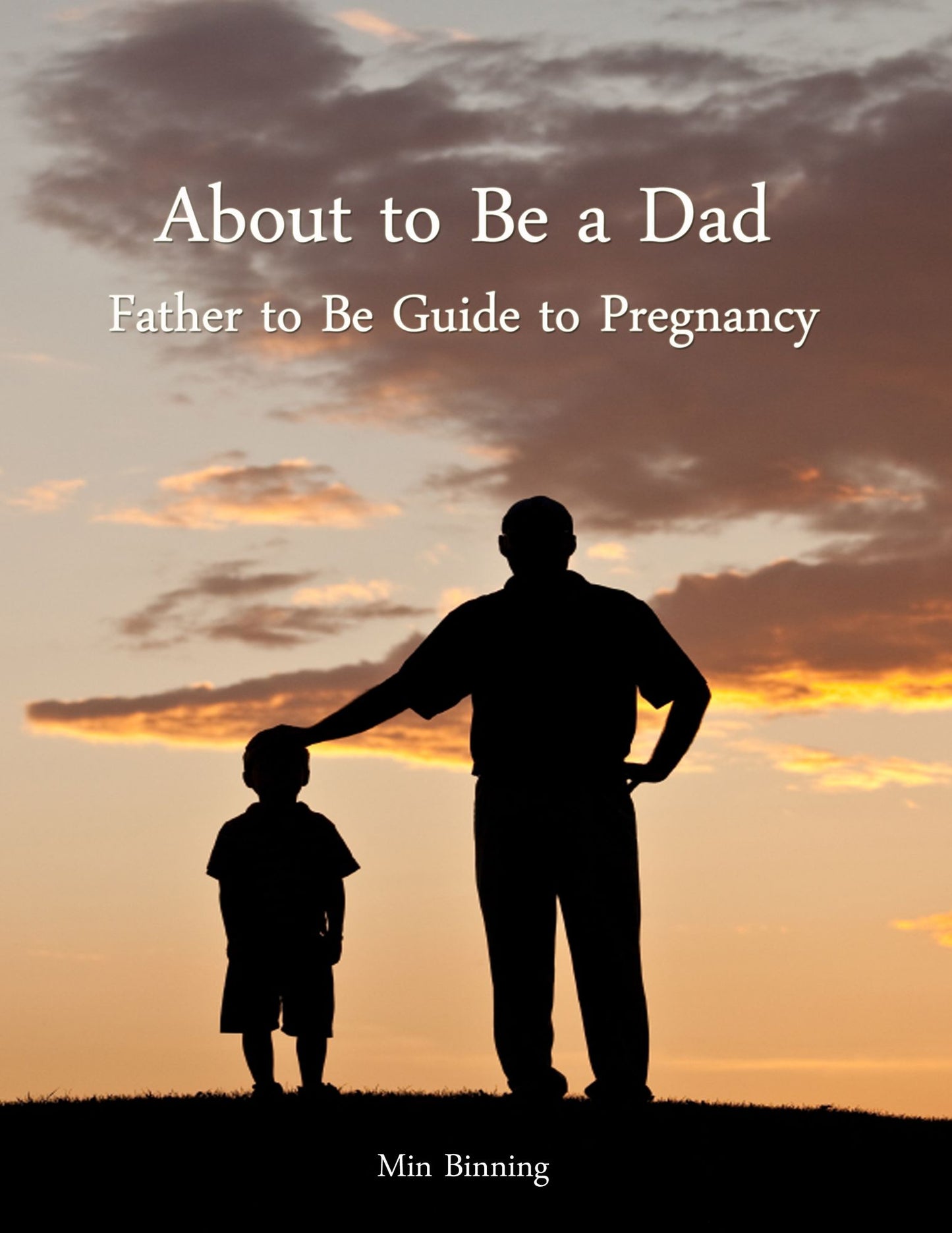 About to be a Dad: Father to be guide to pregnancy