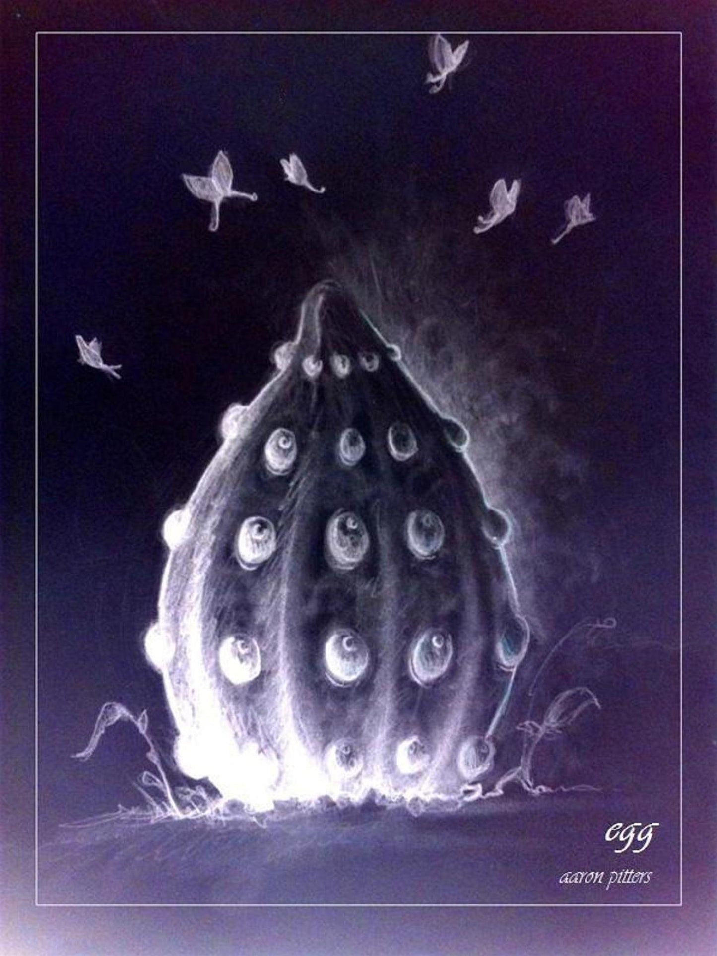 Monarch: Egg (Stage One)