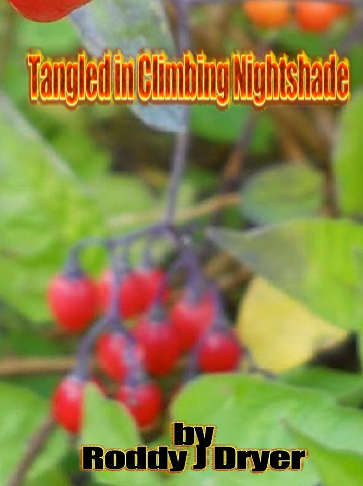 Tangled in Climbing Nightshade