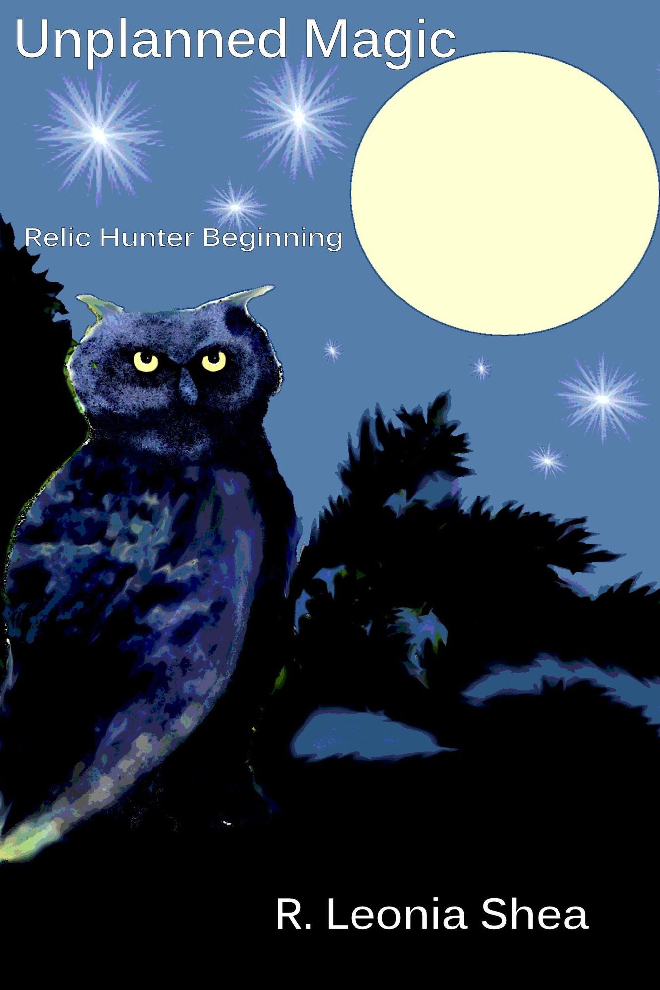 Unplanned Magic (Relic Hunter Short Story)
