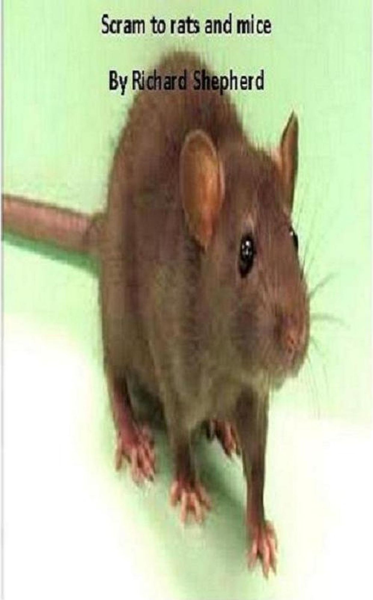 Scram to Rats and Mice