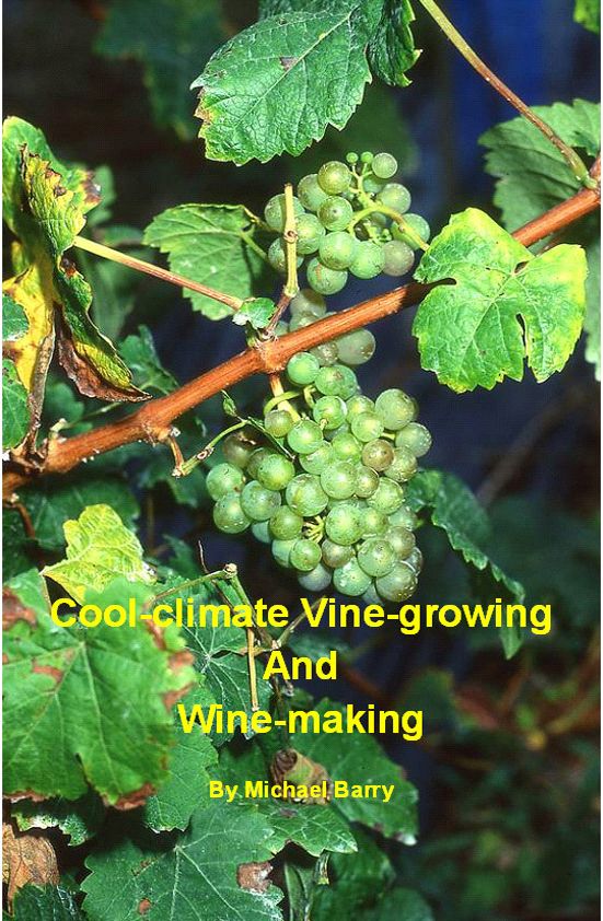 Cool-Climate Vine-growing and Wine-making