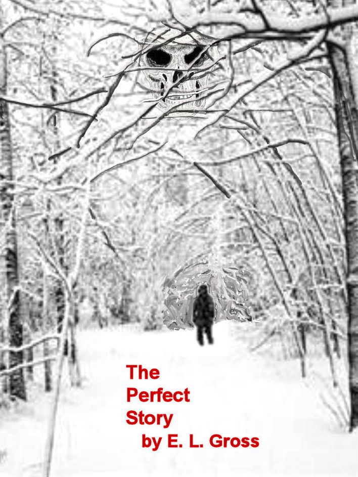 The Perfect Story