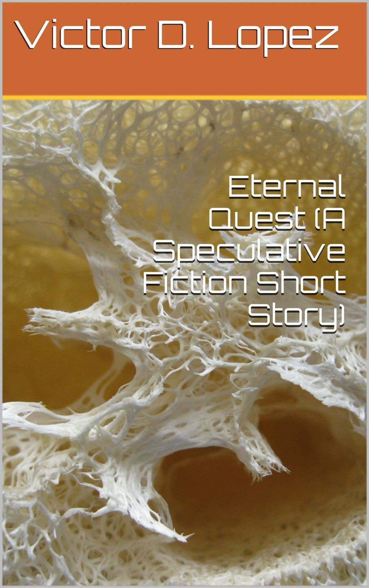 Eternal Quest (short story)