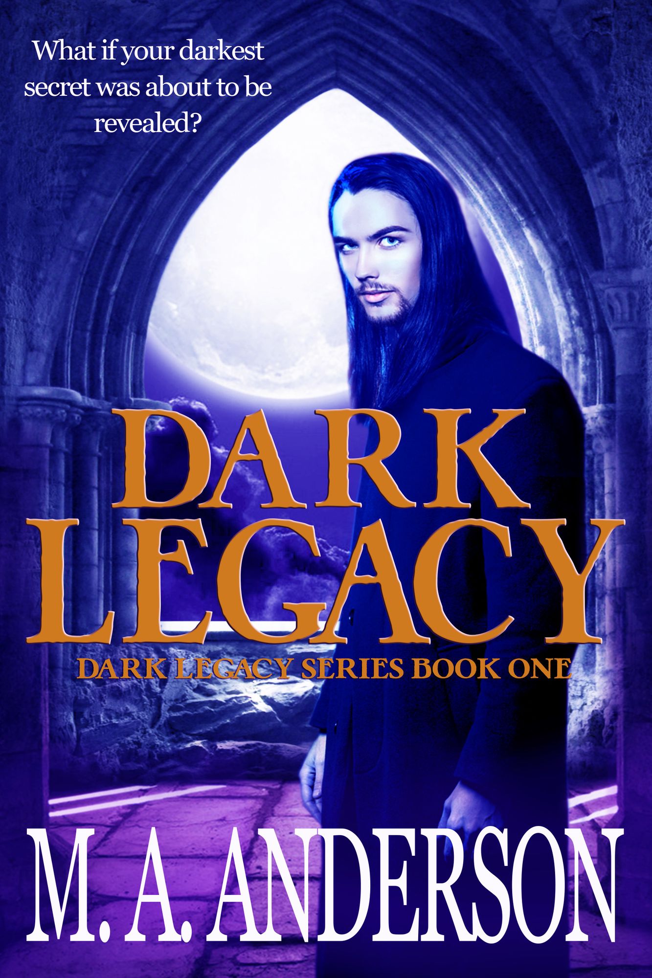Dark Legacy (Book One in the Dark Legacy series)