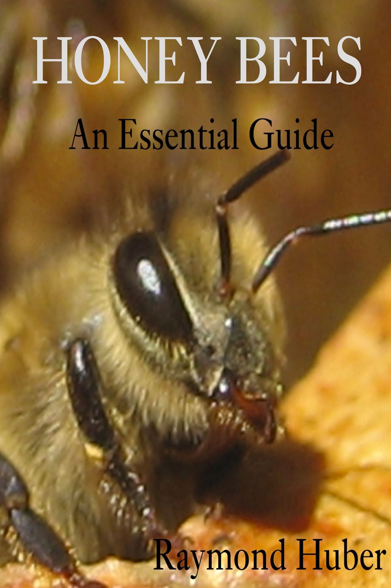 Honey Bees: An Essential Guide