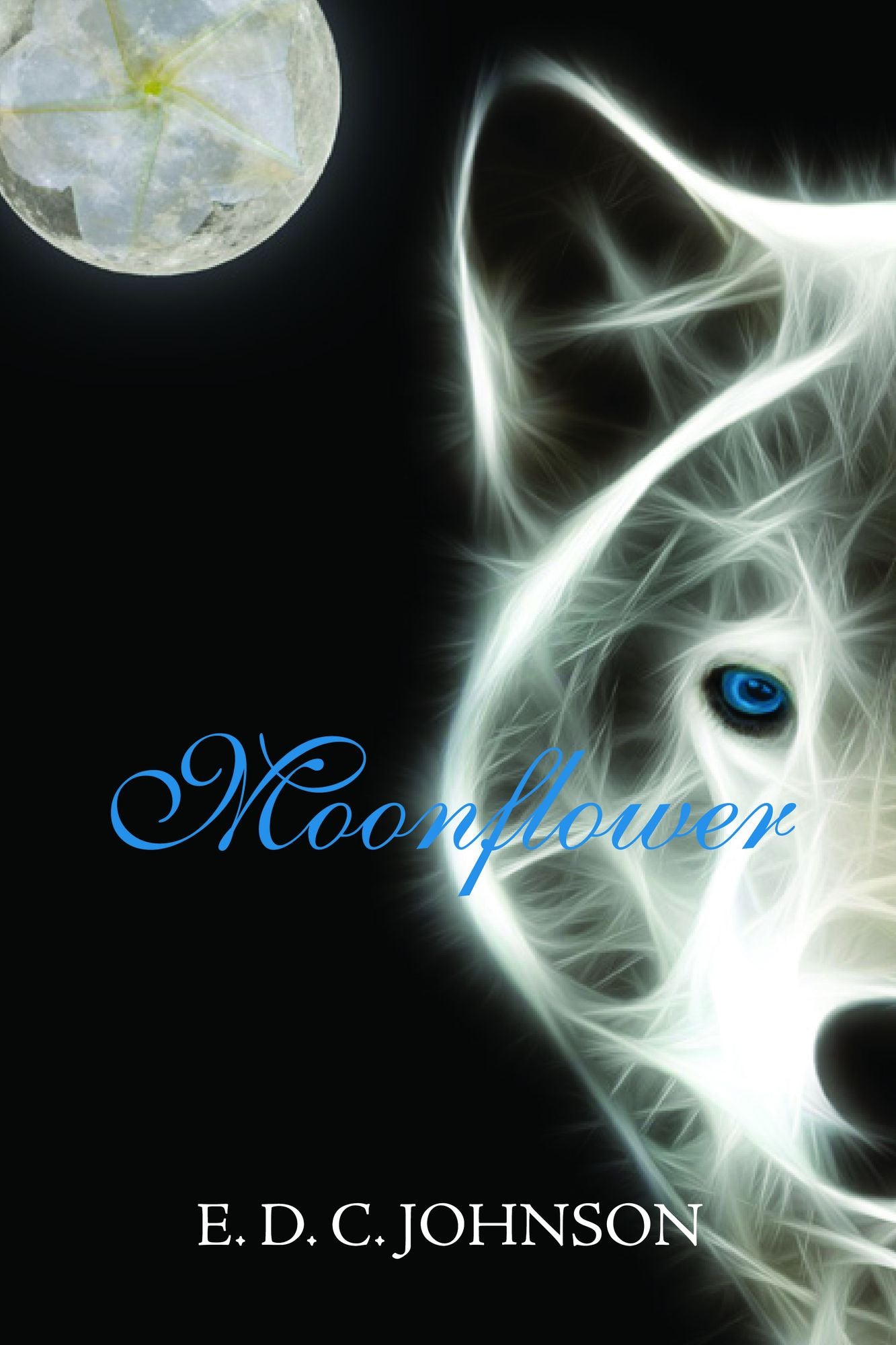 Moonflower