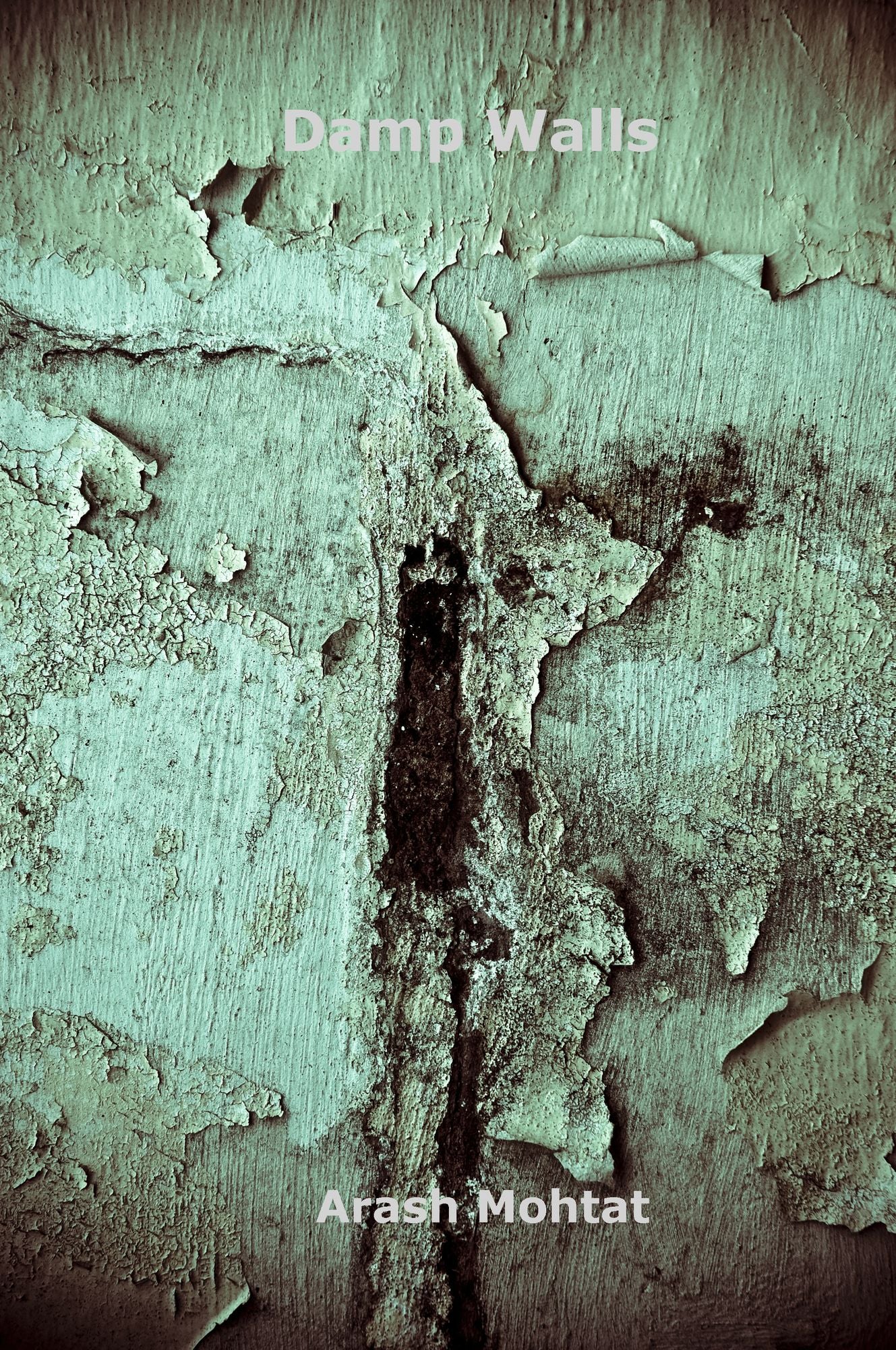 Damp Walls