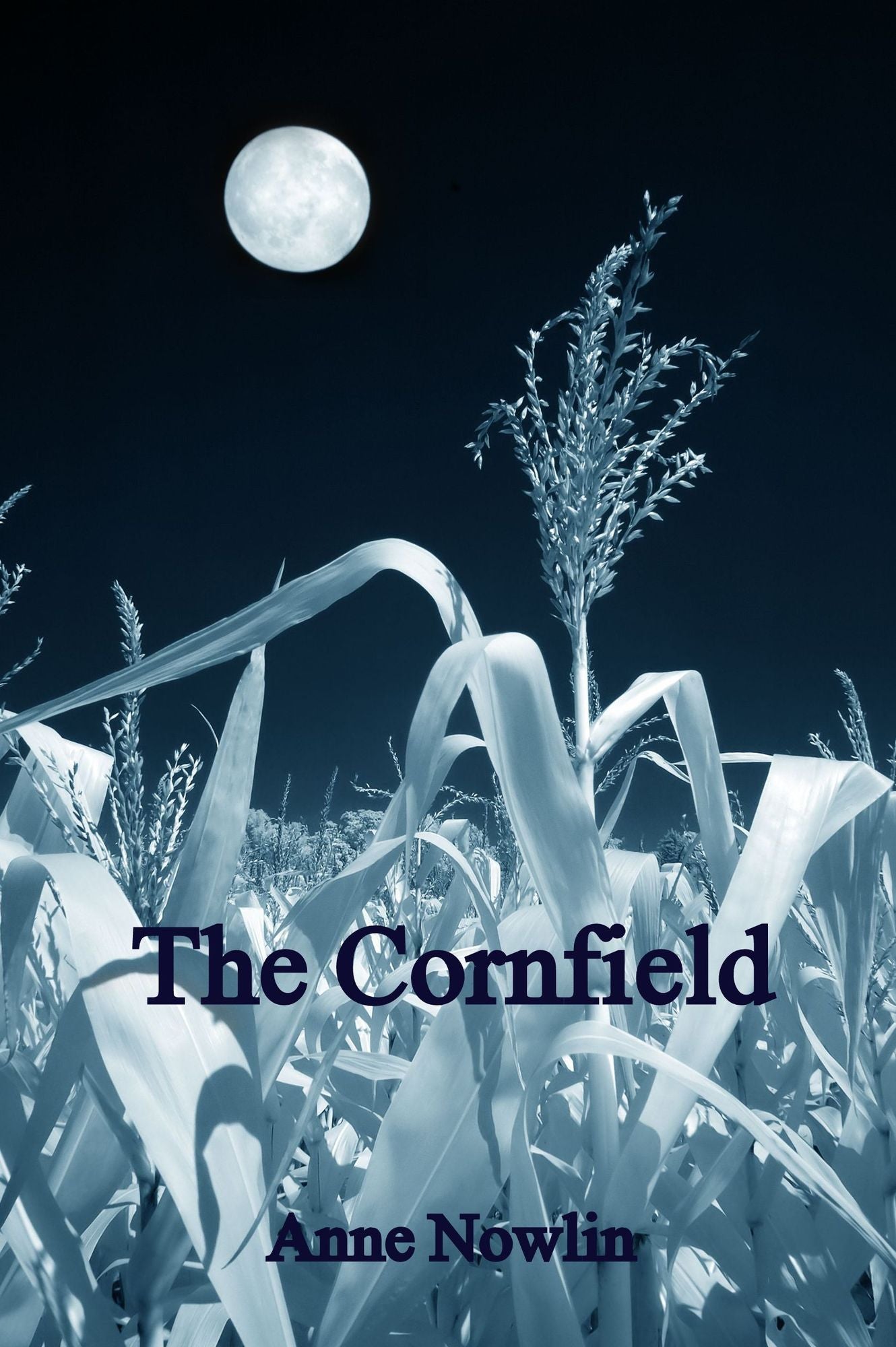 The Cornfield