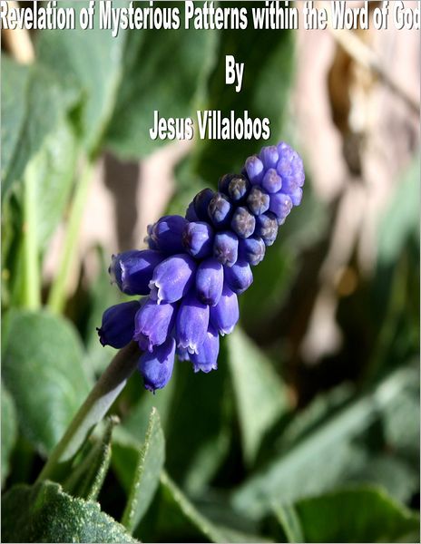Revelation of Mysterious Patterns within the Word of God
